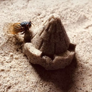 Meet your Posher, Maxie